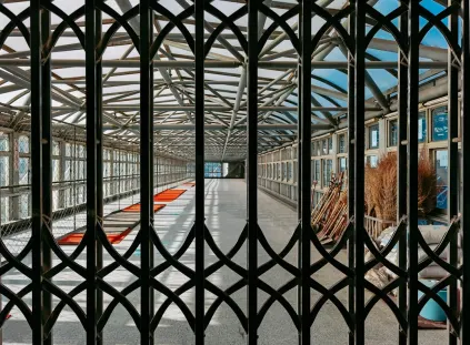 Paripesa Kasyno Aplikacja mobilna